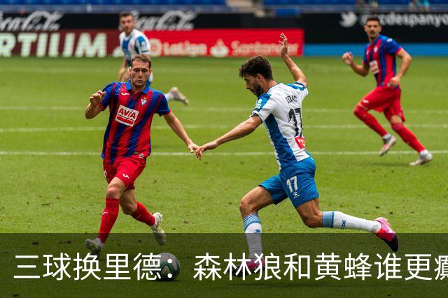 三球换里德：森林狼和黄蜂谁更癫？！