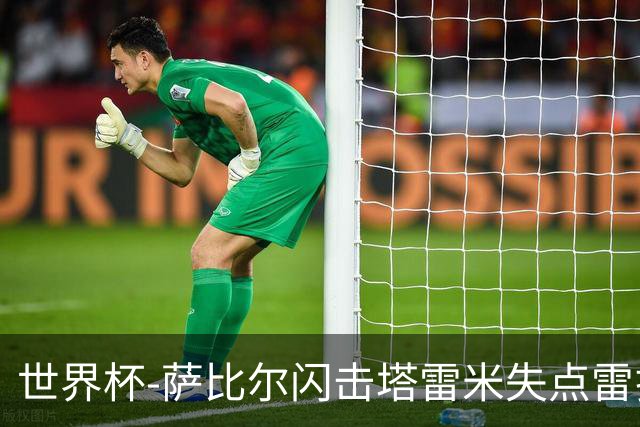 世界杯-萨比尔闪击塔雷米失点雷扎伊扬扳平 半场埃及1-1伊朗